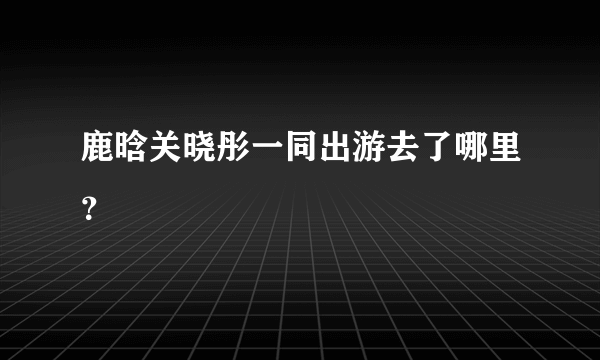 鹿晗关晓彤一同出游去了哪里？