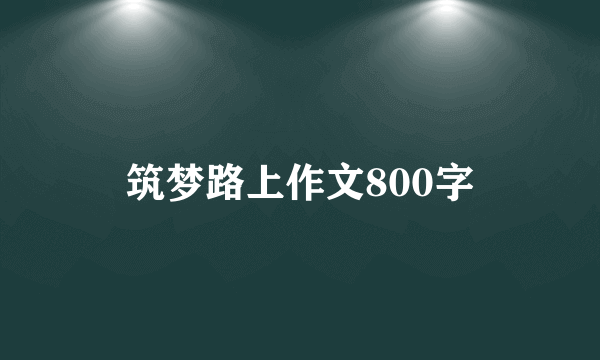 筑梦路上作文800字