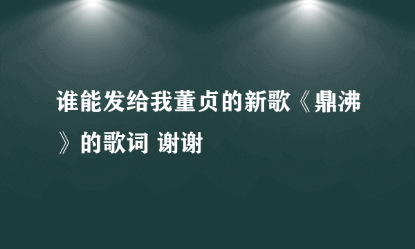 谁能发给我董贞的新歌《鼎沸》的歌词 谢谢