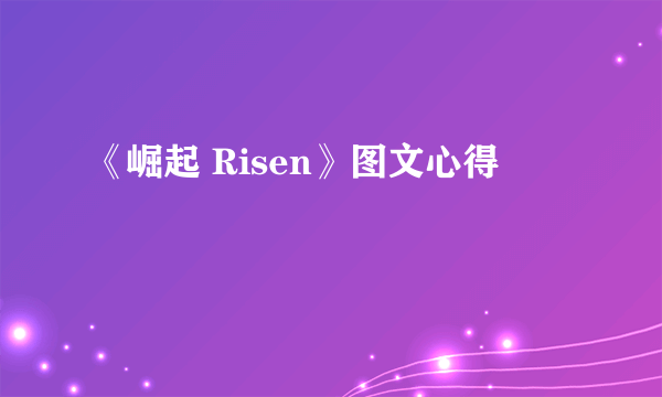 《崛起 Risen》图文心得