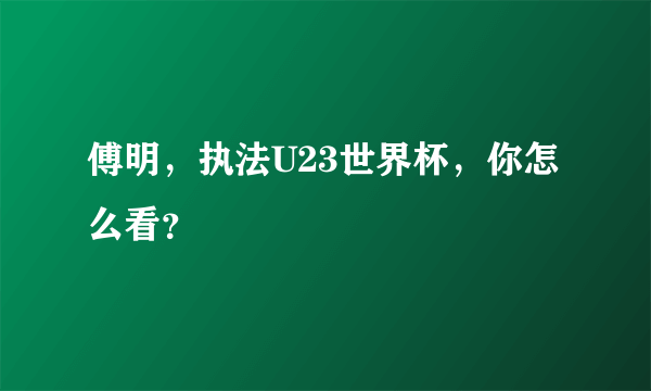 傅明，执法U23世界杯，你怎么看？