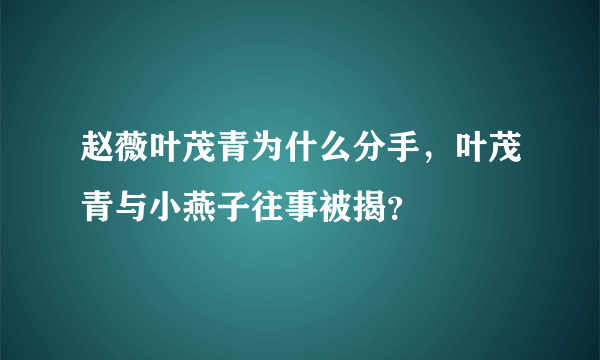 赵薇叶茂青为什么分手，叶茂青与小燕子往事被揭？