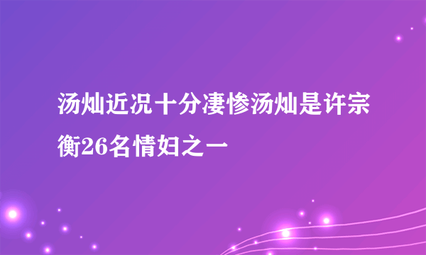 汤灿近况十分凄惨汤灿是许宗衡26名情妇之一