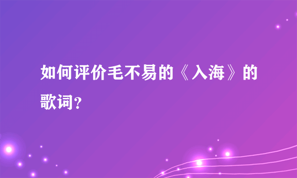 如何评价毛不易的《入海》的歌词？