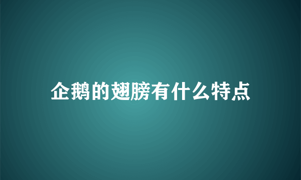 企鹅的翅膀有什么特点