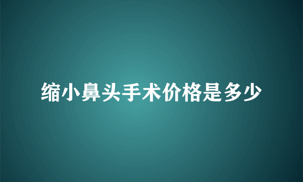 缩小鼻头手术价格是多少