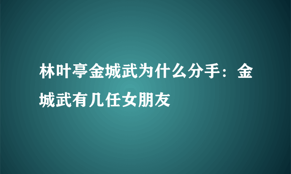 林叶亭金城武为什么分手：金城武有几任女朋友