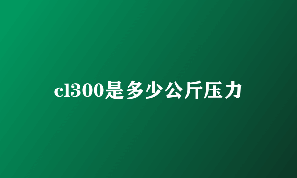 cl300是多少公斤压力