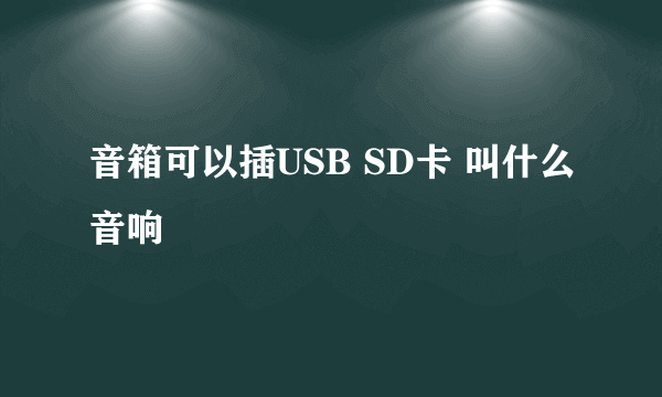 音箱可以插USB SD卡 叫什么音响