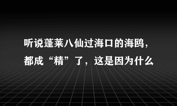 听说蓬莱八仙过海口的海鸥，都成“精”了，这是因为什么