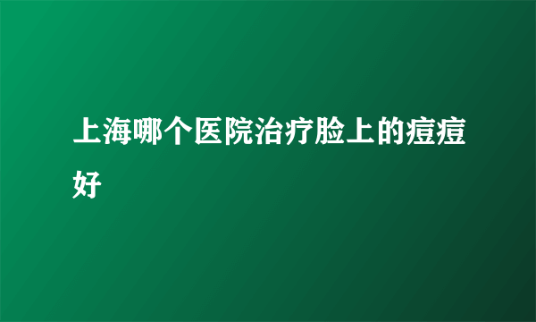 上海哪个医院治疗脸上的痘痘好