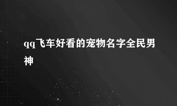 qq飞车好看的宠物名字全民男神