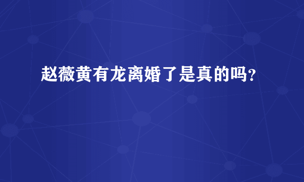 赵薇黄有龙离婚了是真的吗？