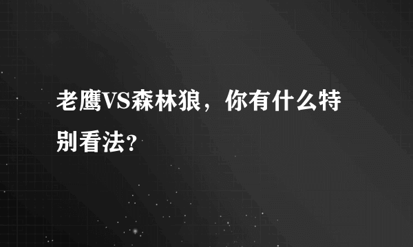 老鹰VS森林狼，你有什么特别看法？