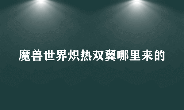 魔兽世界炽热双翼哪里来的