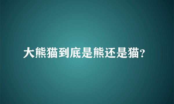 大熊猫到底是熊还是猫？