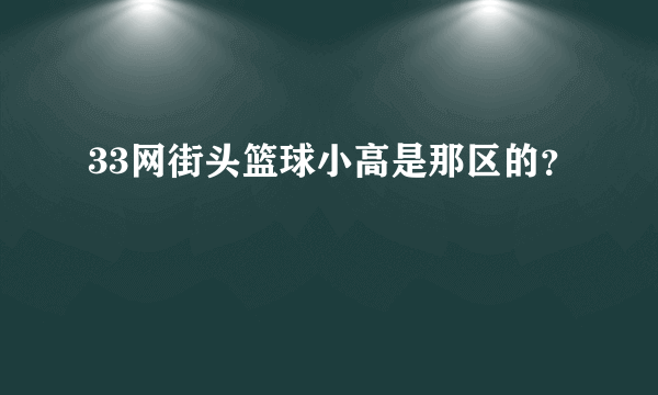 33网街头篮球小高是那区的？