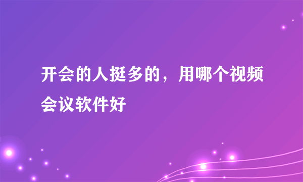 开会的人挺多的，用哪个视频会议软件好