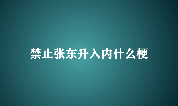 禁止张东升入内什么梗