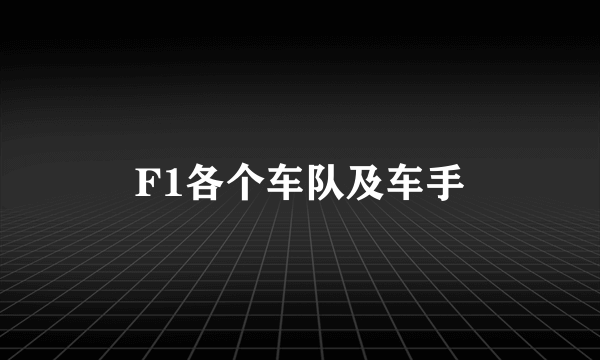 F1各个车队及车手