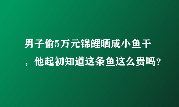 男子偷5万元锦鲤晒成小鱼干，他起初知道这条鱼这么贵吗？