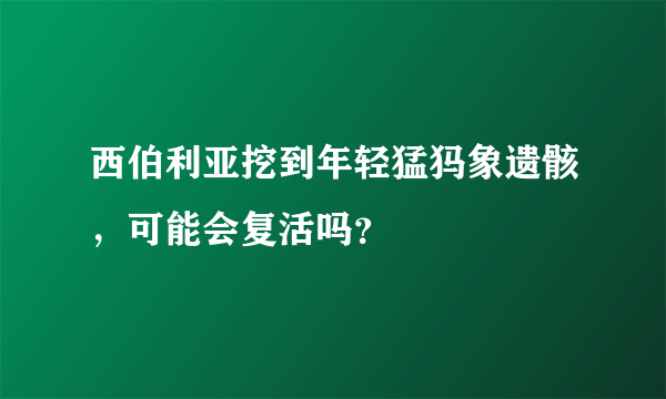 西伯利亚挖到年轻猛犸象遗骸，可能会复活吗？