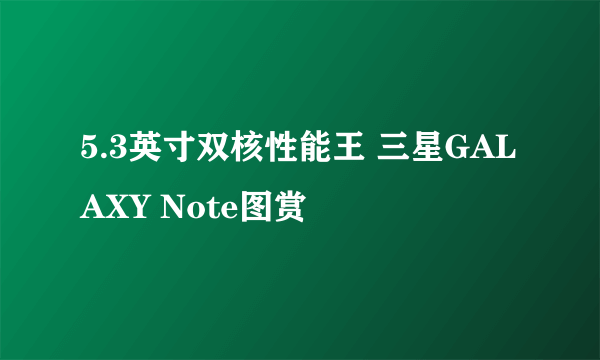 5.3英寸双核性能王 三星GALAXY Note图赏