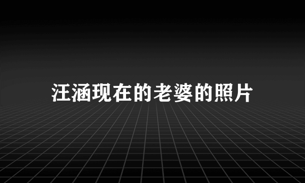 汪涵现在的老婆的照片