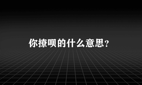 你撩呗的什么意思？