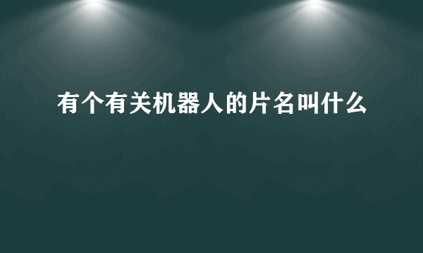 有个有关机器人的片名叫什么