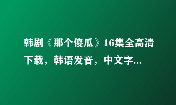 韩剧《那个傻瓜》16集全高清下载，韩语发音，中文字幕，收藏专用，越高清越好！每集才几百MB的就别发了！