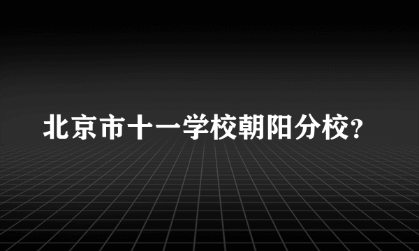 北京市十一学校朝阳分校？