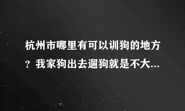 杭州市哪里有可以训狗的地方？我家狗出去遛狗就是不大小便，一直在家里乱拉，训不好，狗狗还小才4个月。