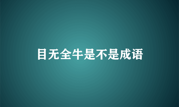 目无全牛是不是成语