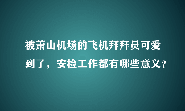 被萧山机场的飞机拜拜员可爱到了，安检工作都有哪些意义？