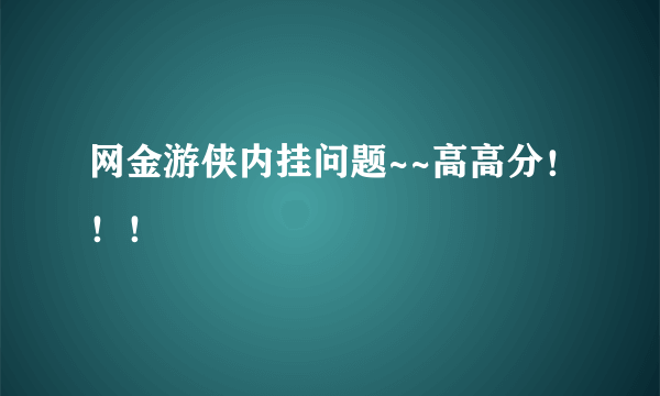 网金游侠内挂问题~~高高分！！！