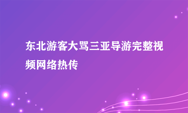 东北游客大骂三亚导游完整视频网络热传