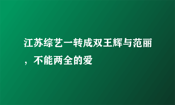 江苏综艺一转成双王辉与范丽，不能两全的爱