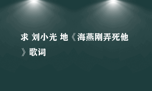 求 刘小光 地《海燕刚弄死他》歌词