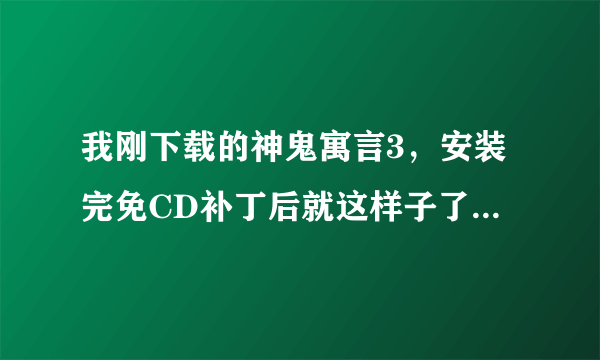 我刚下载的神鬼寓言3，安装完免CD补丁后就这样子了，怎么解决？？