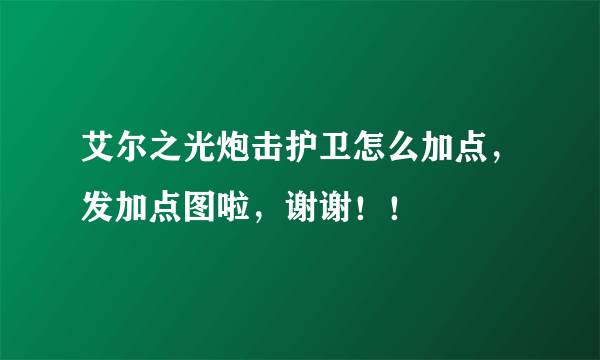 艾尔之光炮击护卫怎么加点，发加点图啦，谢谢！！