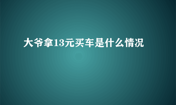 大爷拿13元买车是什么情况