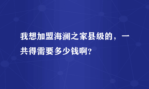 我想加盟海澜之家县级的，一共得需要多少钱啊？