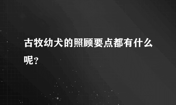 古牧幼犬的照顾要点都有什么呢？