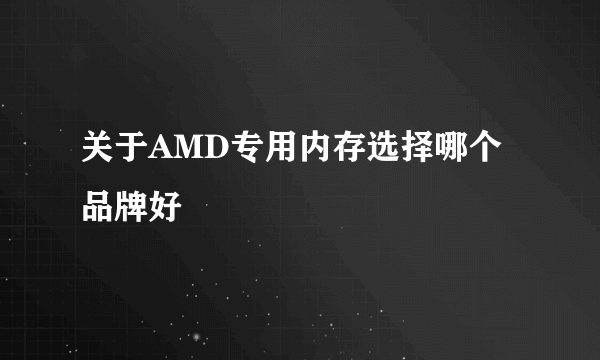 关于AMD专用内存选择哪个品牌好