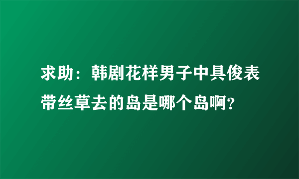 求助：韩剧花样男子中具俊表带丝草去的岛是哪个岛啊？