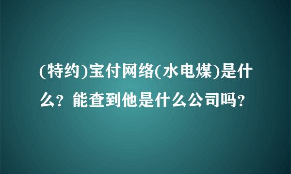 (特约)宝付网络(水电煤)是什么？能查到他是什么公司吗？