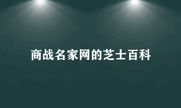 商战名家网的芝士百科