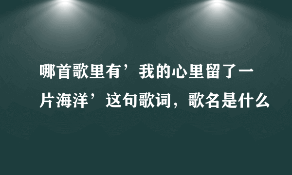 哪首歌里有’我的心里留了一片海洋’这句歌词，歌名是什么