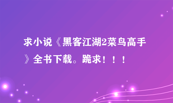 求小说《黑客江湖2菜鸟高手》全书下载。跪求！！！